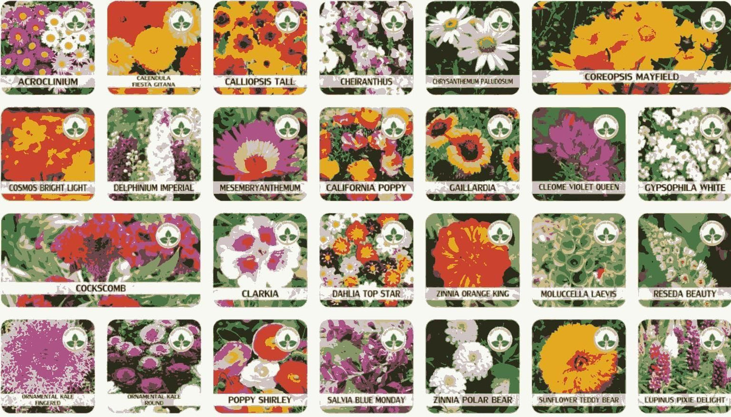 GroMax™ Winter Flower Seeds (Pack of 100) + FREE Plant Growth Supplement